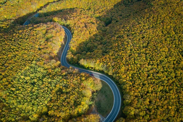 Luftaufnahme Der Kurvenreichen Straße Durch Pezinska Baba Wald Herbstfarben Slowakei — Stockfoto