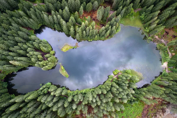 Luftaufnahme Des Vrbicke Pleso Tarn Grünen Tannenwald Slowakei Niedere Tatra — Stockfoto