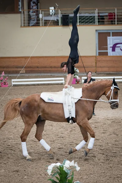 Pezinok Slovensko Června 2018 Isabela Fiala Rakouska Akci Soutěži Vaulting — Stock fotografie