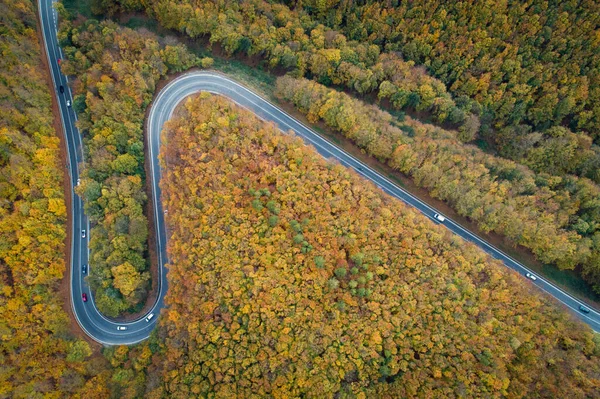 Luftaufnahme Der Kurvenreichen Straße Durch Pezinska Baba Wald Herbstfarben Slowakei — Stockfoto