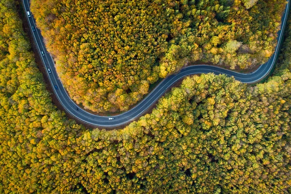 Luftaufnahme Der Kurvenreichen Straße Durch Pezinska Baba Wald Herbstfarben Slowakei — Stockfoto