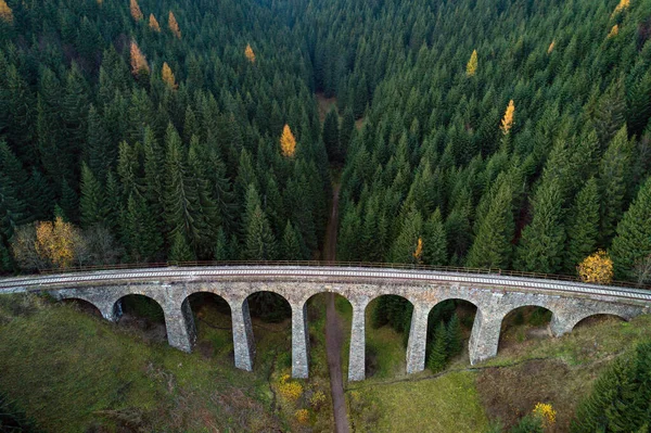 Chmarossky Viaduct Goes Pine Forest Village Telgart Slovakia — стокове фото