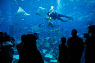 DUBAI, BAE - 14 Şubat 2018 Atlantis otelinde insanlar 60.000 'den fazla balıklı akvaryuma hayran. Akvaryumun kapasitesi 11 milyon litre sudur. Dubai, Birleşik Arap Emirlikleri