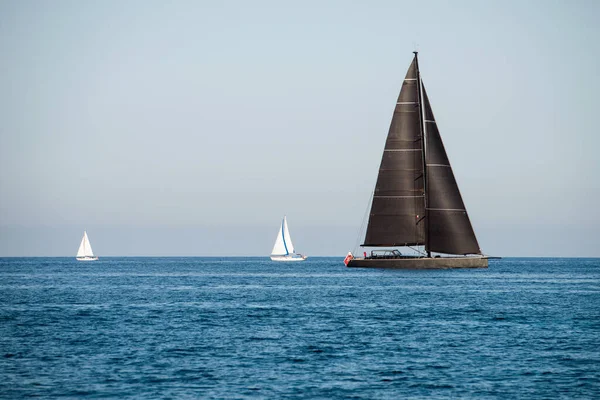 Black Two White Sailing Yachts Sea Clear Blue Sky — Foto de Stock