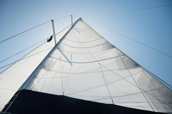 Main Sail Sailing Yacht Wind Sun Background — Foto de Stock