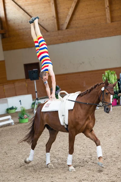 Pezinok Slovakia June 2017 Performance Balazs Bence Hungary Vaulting Competition — Stock Photo, Image