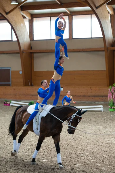 Foto de Cavalo Pulando Competição e mais fotos de stock de Animal