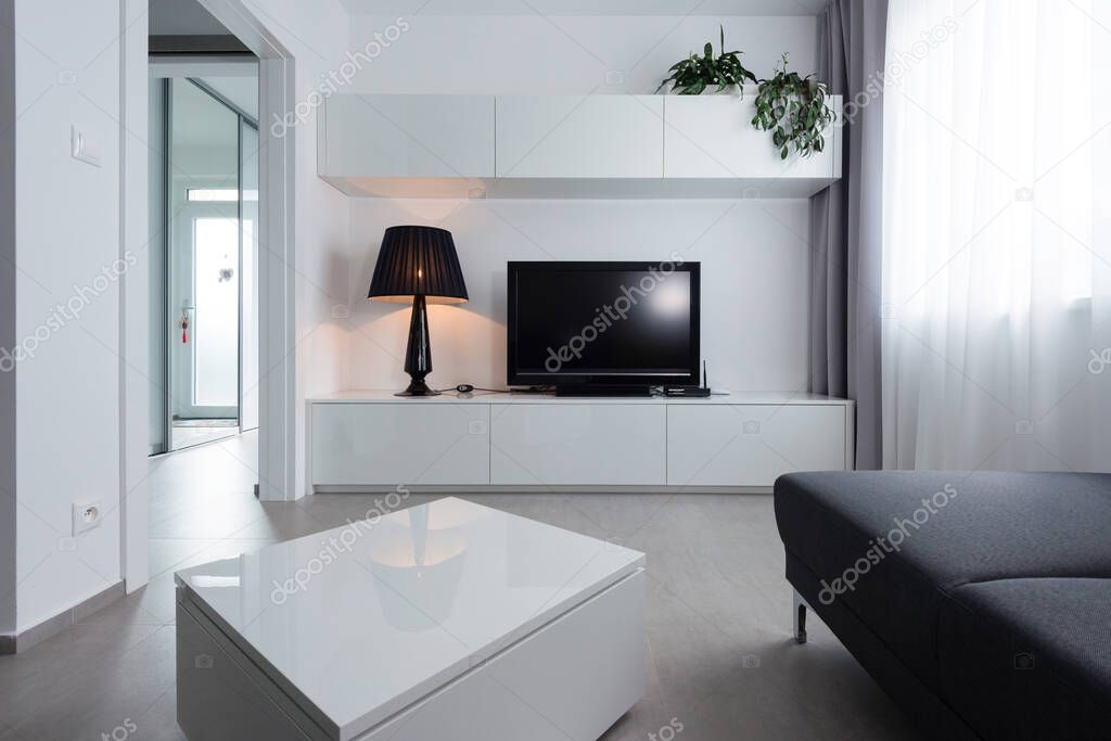 TV room in modern house