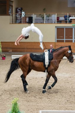PEZINOK, SLOVAKIA - 18 Haziran 2017: Avusturya 'dan Daniela Fritz' in 18 Haziran 2017 tarihinde Slovakya 'nın Pezinok kentinde gerçekleştirilen Kasa yarışması finalinde performansı