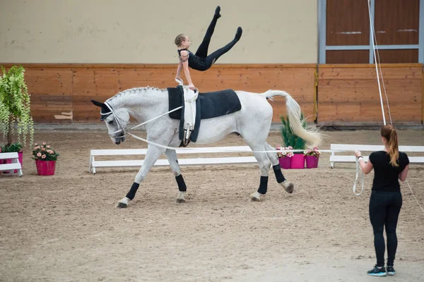 Pezinok Slovakia Junho 2017 Team Club Áustria Ação Competição Vaulting — Fotografia de Stock