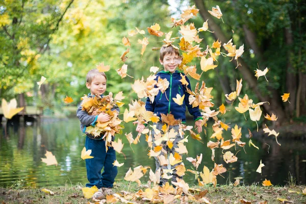 Twee Jonge Jongens Het Najaarspark Spelen Met Bladeren — Stockfoto