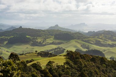 Northland 'in manzarası - Yeni Zelanda' daki St. Paul Kayası