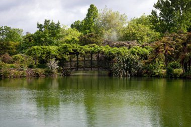 Rotorua termal parkı, Yeni Zelanda 'nın kuzey adası.