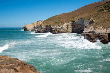 Pasifik Okyanusu kıyısında Dunedin, Yeni Zelanda
