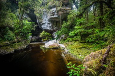 Bal peteği Tepesi Kemeri, Oparara Havzası, Yeni Zelanda