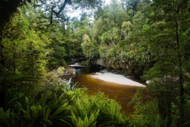 Oparara Nehri, Karamea, Batı Yakası, Yeni Zelanda yakınlarındaki Moria Kapısı kemerinden akıyor.