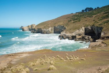 Pasifik Okyanusu kıyısında Dunedin, Yeni Zelanda