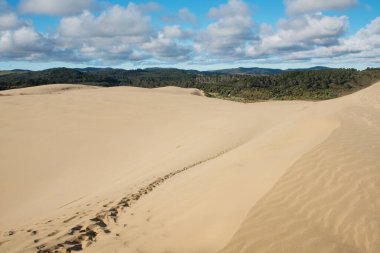 Uzak Kuzey, Yeni Zelanda 'daki Te Paki' nin manzaralı kumullarında ayak izleri var.