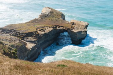 Dunedin, Yeni Zelanda yakınlarındaki Tünel plajında doğal kemer.