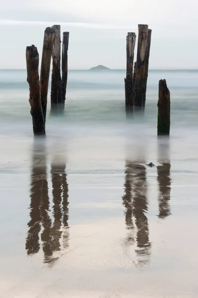 Old Jetty Piles Clair Beach Dunedin Sunset New Zealand — Stock Photo, Image