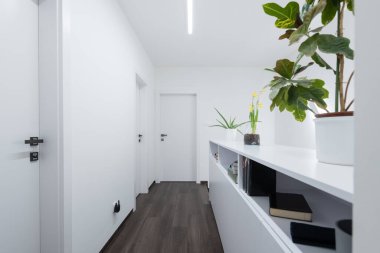 Çağdaş Apartman Salonundaki Dolap