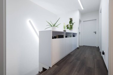 Çağdaş Apartman Salonundaki Dolap