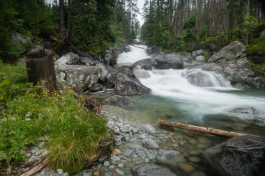 Slovakya 'daki Yüksek Tatra dağlarında soğuk su şelaleleri