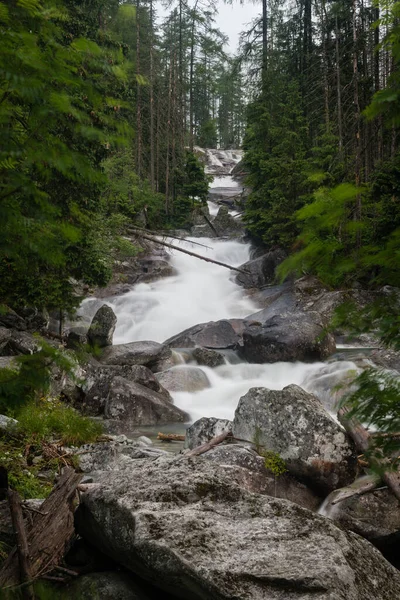 Cascadas Agua Fría Las Montañas Tatra Eslovaquia — Foto de Stock