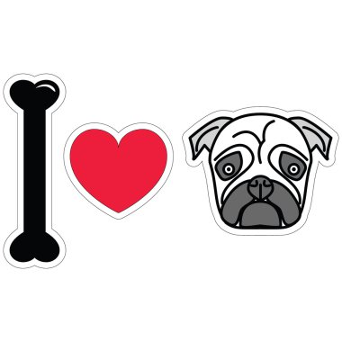 Pugs renkli düz seviyorum