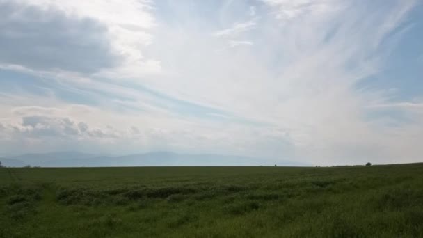 Campo de hierba y nubes — Vídeo de stock
