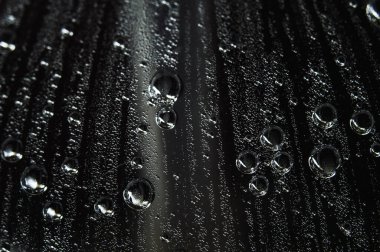 Duvar kağıdı yüzeyine su damlıyor. Siyah ve beyaz. Islak, makro fotoğraf dairesi kalıplarını kapatıyor.