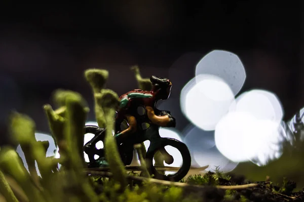 Radrennen Wald Natur Makrofotografie Menschliche Figuren Konzept Detail Rennen — Stockfoto