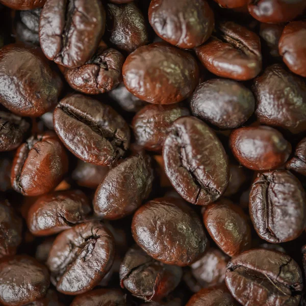 Rostade kaffebönor. För konst konsistens eller webbdesign och web backg — Stockfoto