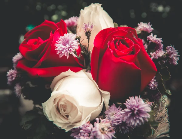 Close up of roses. — Stock Photo, Image