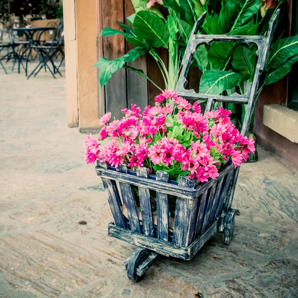 Flores de colores en la carretilla —  Fotos de Stock