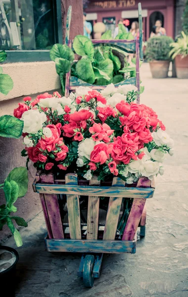 Colorful flowers in the wheelbarrow — Stock Photo, Image