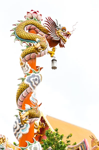 Kínai sárkány. — Stock Fotó