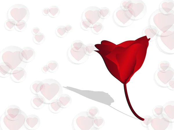 Rosa roja sobre fondo de San Valentín — Foto de Stock