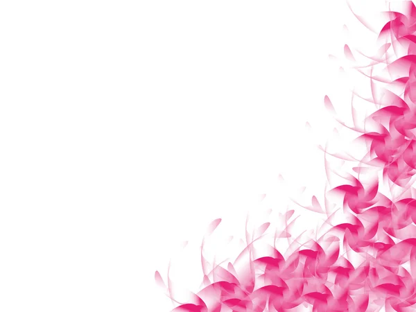 Fundo da flor rosa isolado no branco — Fotografia de Stock