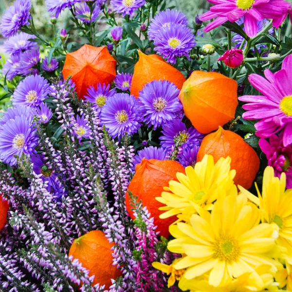 Garden Flowers Close — Stock Photo, Image