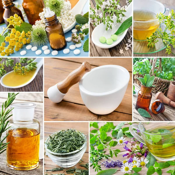 Natural medicine and herbs collage