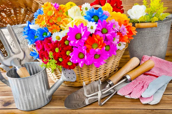 Trädgårdsskötsel Och Dekoration Med Blommor — Stockfoto