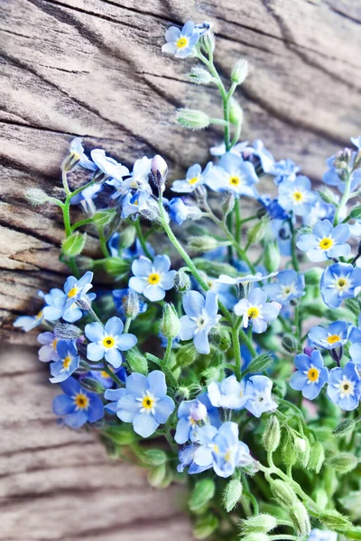 Forget-me-not flowers and wooden background