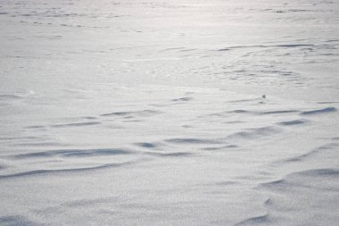 Kış Noel arkaplanı, kopyalama alanı olan beyaz kar dokusu