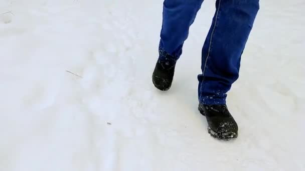 Kışlık çizme ve kot pantolon giymiş bir insanın bacakları ormanda karlı bir patika boyunca yürür. Kış yürüyüşü konsepti. Düşük görünüm. — Stok video