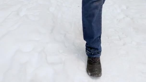 The legs of a person in winter boots and jeans walk along a snowy path in the forest. Winter hiking concept. Low view. — Stock Video