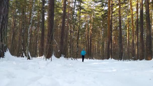 4K Woman is bezig met nordic walking met stokken in het winterbos. Cardio-training. — Stockvideo
