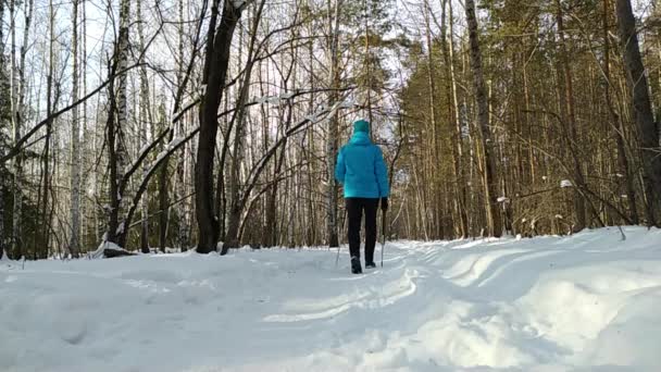 Una mujer se dedica a caminar nórdico con palos en el bosque de invierno. Entrenamiento cardiovascular. Movimiento lento. — Vídeos de Stock