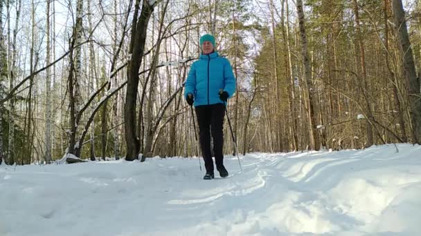 女性は冬の森の棒とノルディックウォーキングに従事しています。心臓のトレーニングだ。スローモーション. — ストック動画