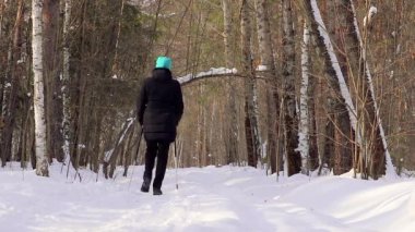 İskandinavya 'da bir kadın kış ormanında sopalarla yürüyor. Kardiyo çalışması.